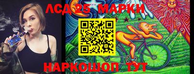 шишки Лесосибирск