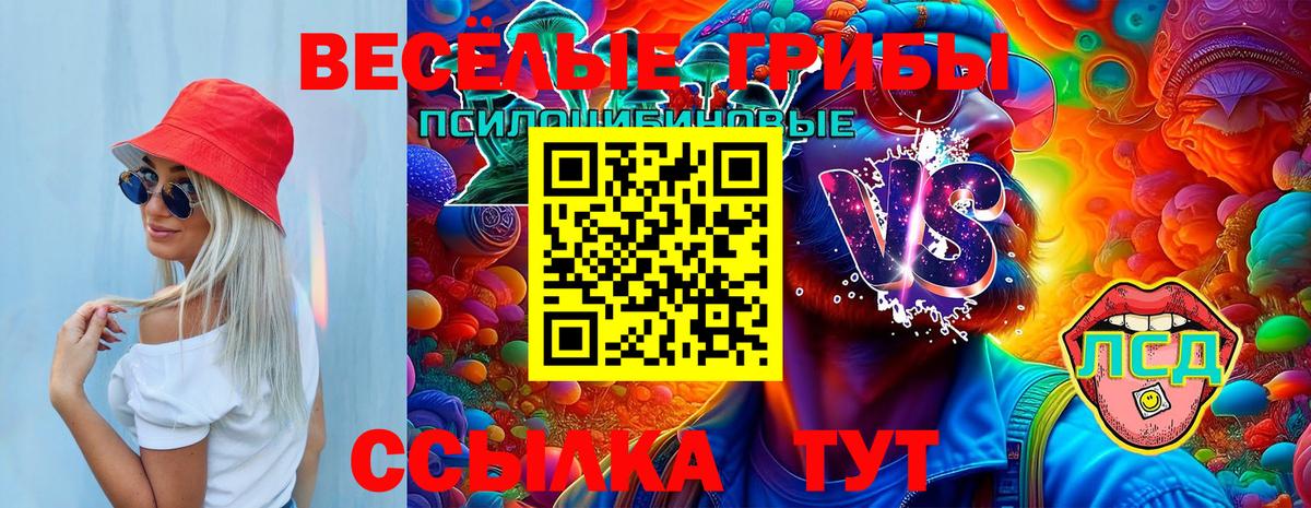 Псилоцибиновые грибы GOLDEN TEACHER  Псилоцибиновые грибы Psilocybine cubensis  Моршанск  Вход с VPN 